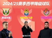 开云平台-莱加内斯客场遭遇失败，士气受挫的简单介绍