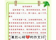 开云体育APP下载-.追逐梦想的脚步：年轻运动员的成长之路的简单介绍