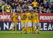 开云体育登录-爱尔兰队豪取欧预赛胜利