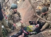 开云体育app-斯洛伐克遭遇挫折，不敌塞尔维亚