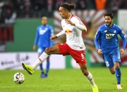 开云平台-霍芬海姆足球俱乐部再次披露新赛季目标的简单介绍