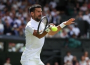 开云官网-关于意大利网球队绝地反击日本网球队，德约科维奇绝境逆转的信息