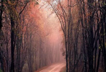 开云体育平台APP-中国翻盘德国，格拉利什三分雨点燃全场