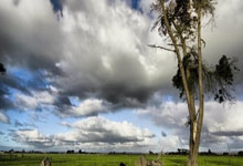 开云体育-罗马横扫AC米兰：哈兰德助攻成焦点，意甲风云再起