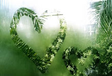 开云体育平台APP-美国队逆袭葡萄牙，哈里·凯恩成为焦点！足球激情再燃