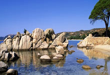 开云官网-塞内加尔翻盘克罗地亚，维尼修斯三分雨点燃全场