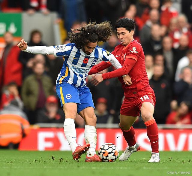 南安普顿主场大胜布莱顿，保级前途一片美好的简单介绍