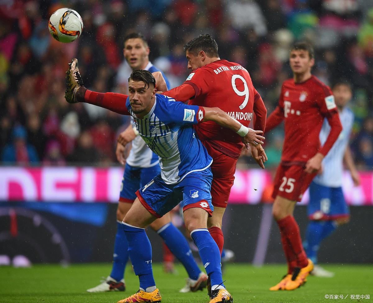 霍芬海姆击败对手，取得突破性胜利的简单介绍