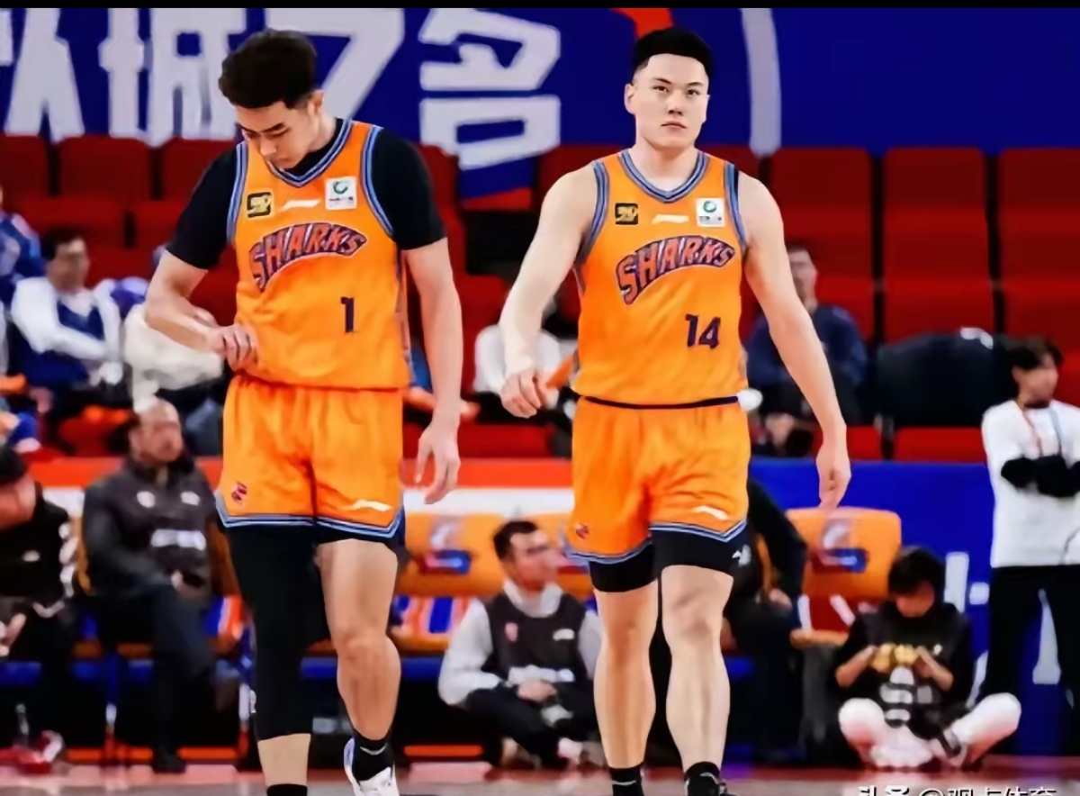 狼队主帅埃斯席多夫建功高唱,球队士气高昂的简单介绍 狼队主帅埃斯席多夫建功高唱,球队士气高昂的简单介绍