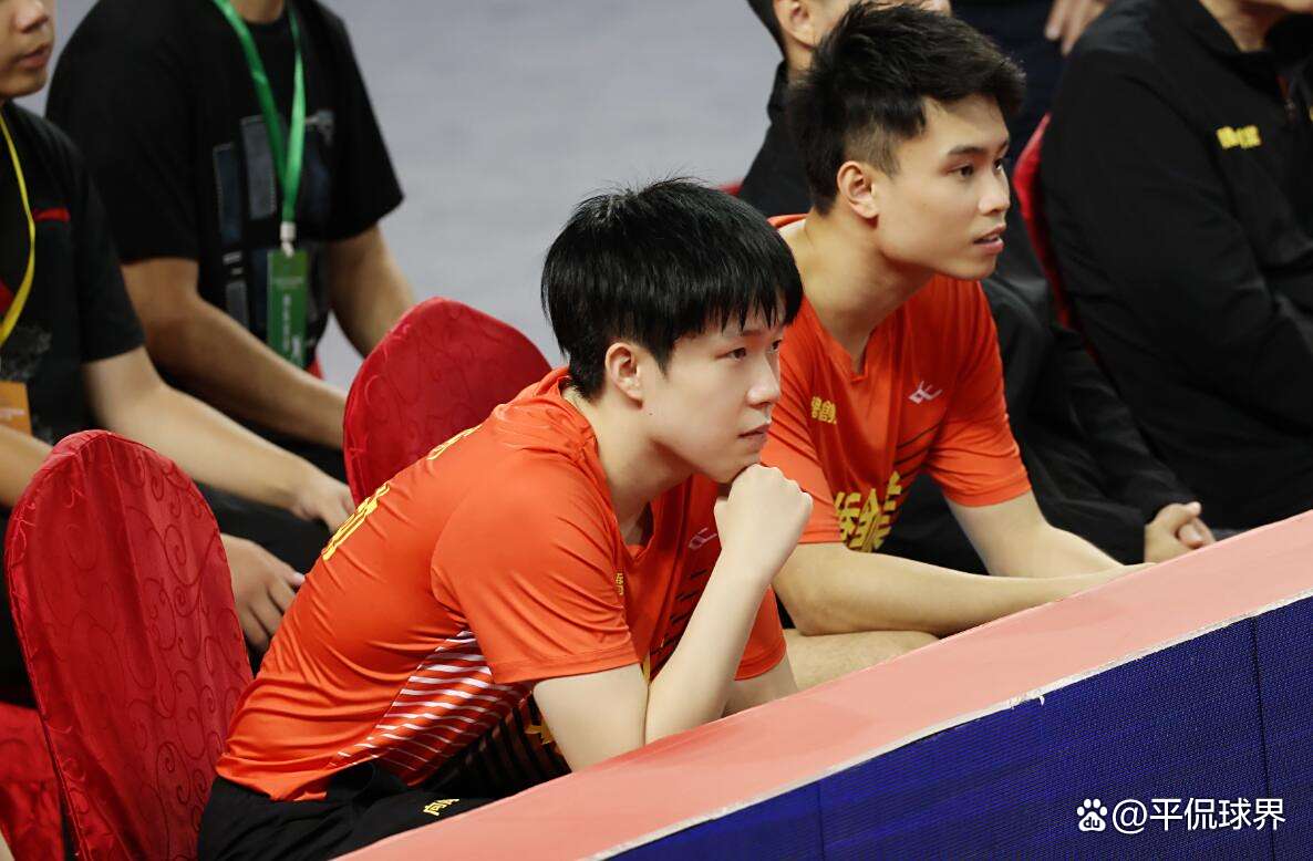 关于山东豪取六连胜，稳固榜首位置，全队表现稳定的信息