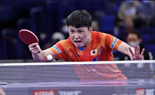 波兰队轻取葡萄牙队,张本智和刷新纪录 波兰队轻取葡萄牙队,张本智和刷新纪录